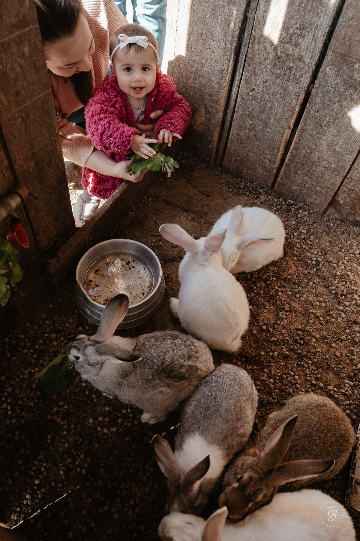 acompanhamento documental de família, 11 meses da Cecília, sessão no sítio em Anitápolis/SC por Thiago Braga fotografia