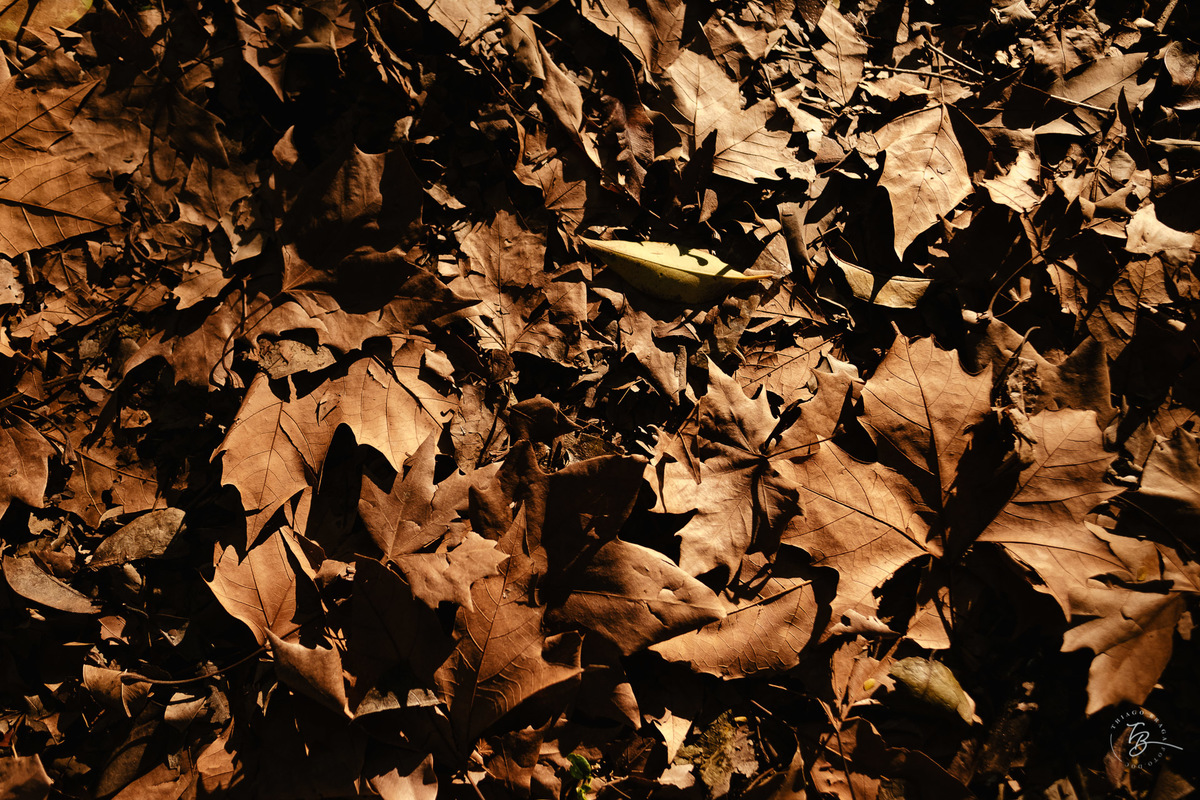 Ensaio gestante na ponte Hercílio Luz em Florianópolis por Thiago Braga fotografia