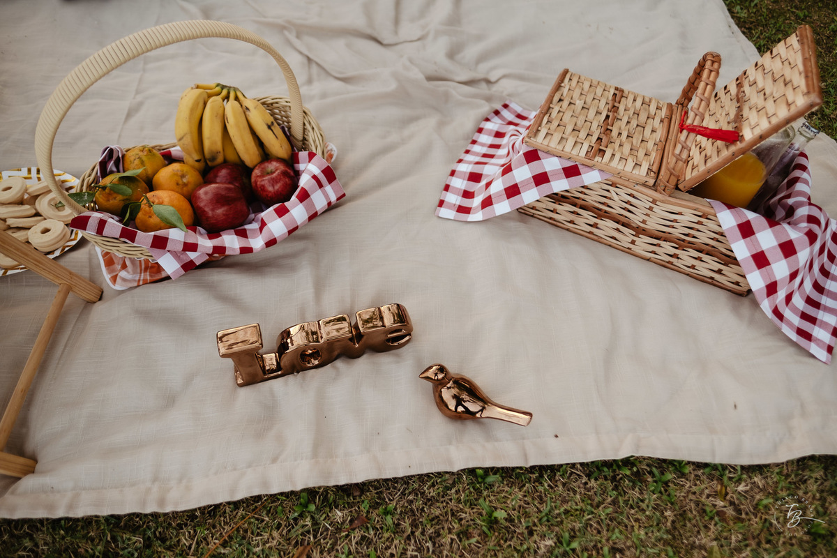 Ensaio gestante em casa e externo, a espera da Malu, por Thiago Braga fotografia.
