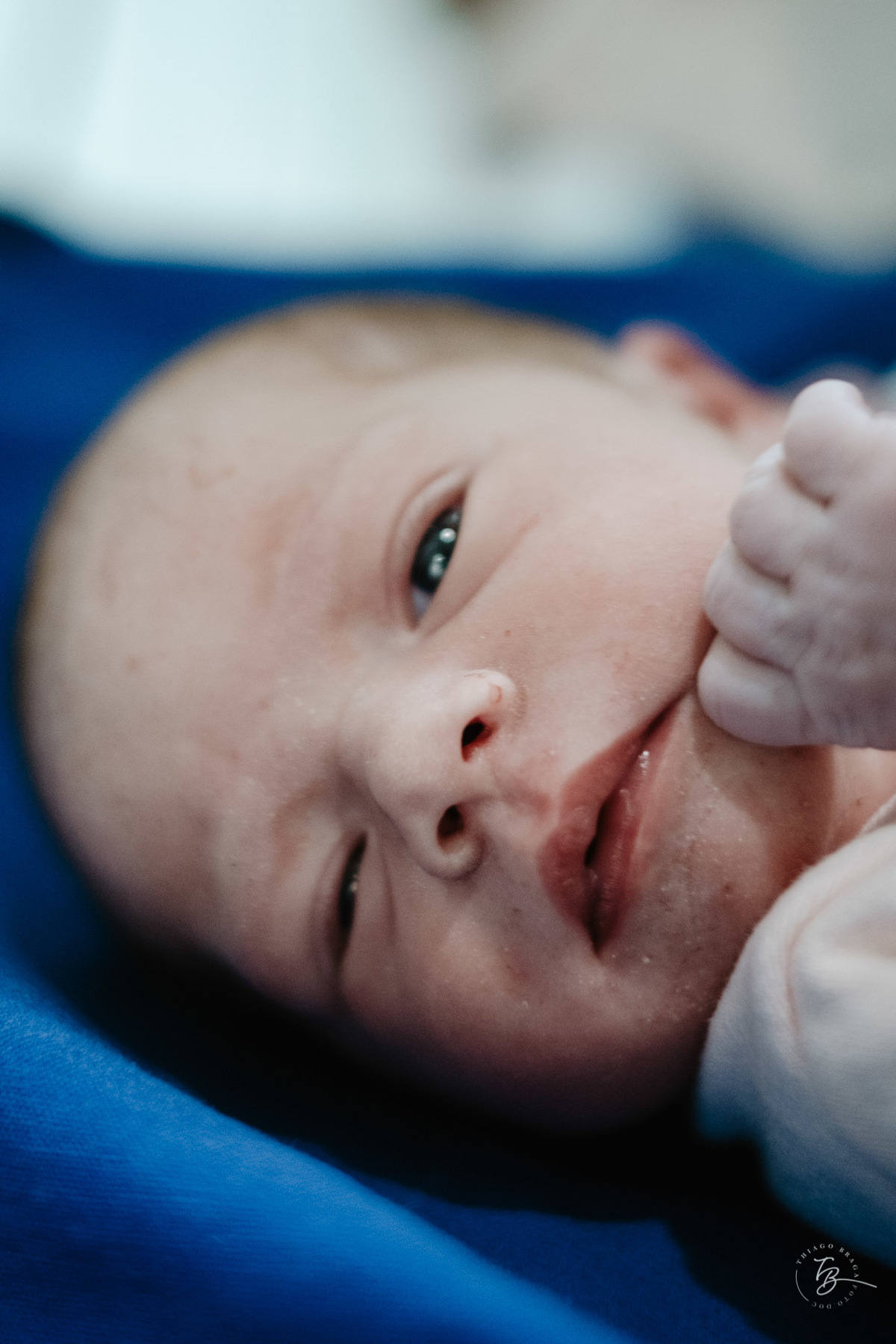 nascimento, parto cesarea, liz, ilha maternidade por Thiago braga fotografia