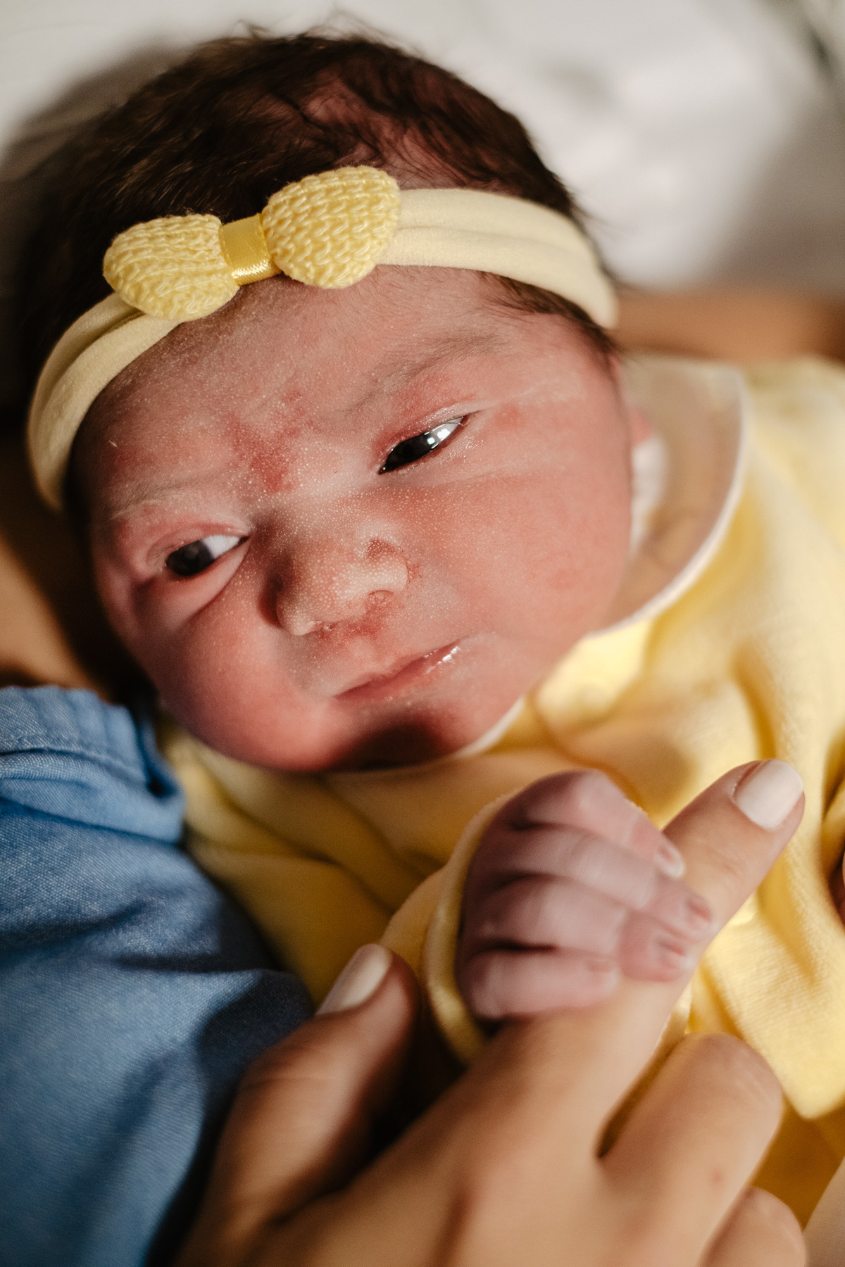 fotografia de nascimento, parto cesárea na maternidade santa helena em Florianópolis por Thiago Braga