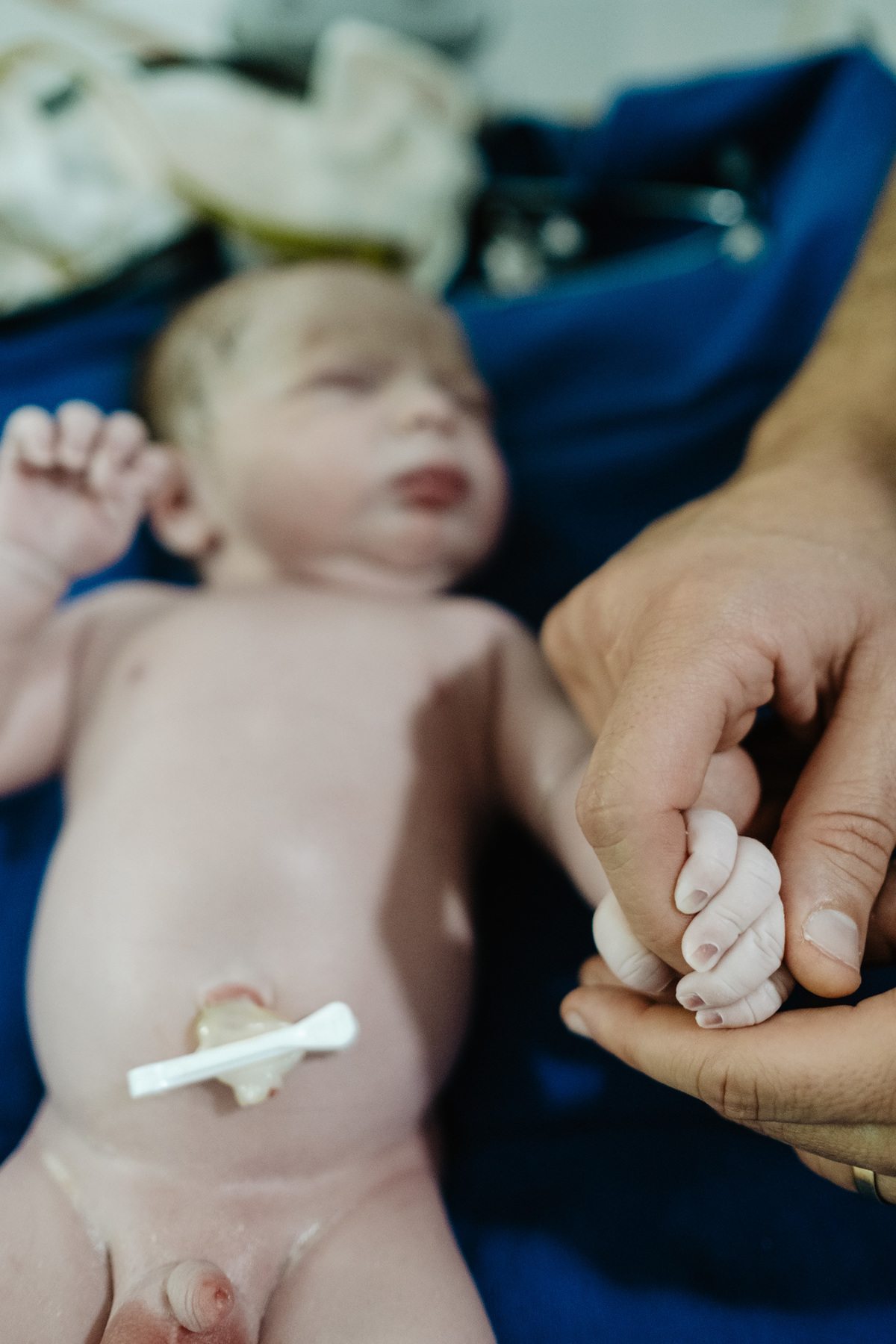 parto cesárea humanizado no ilha Hospital e maternidade por Thiago Braga Fotografia