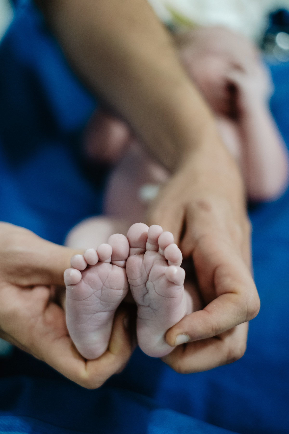 parto cesárea humanizado no ilha Hospital e maternidade por Thiago Braga Fotografia