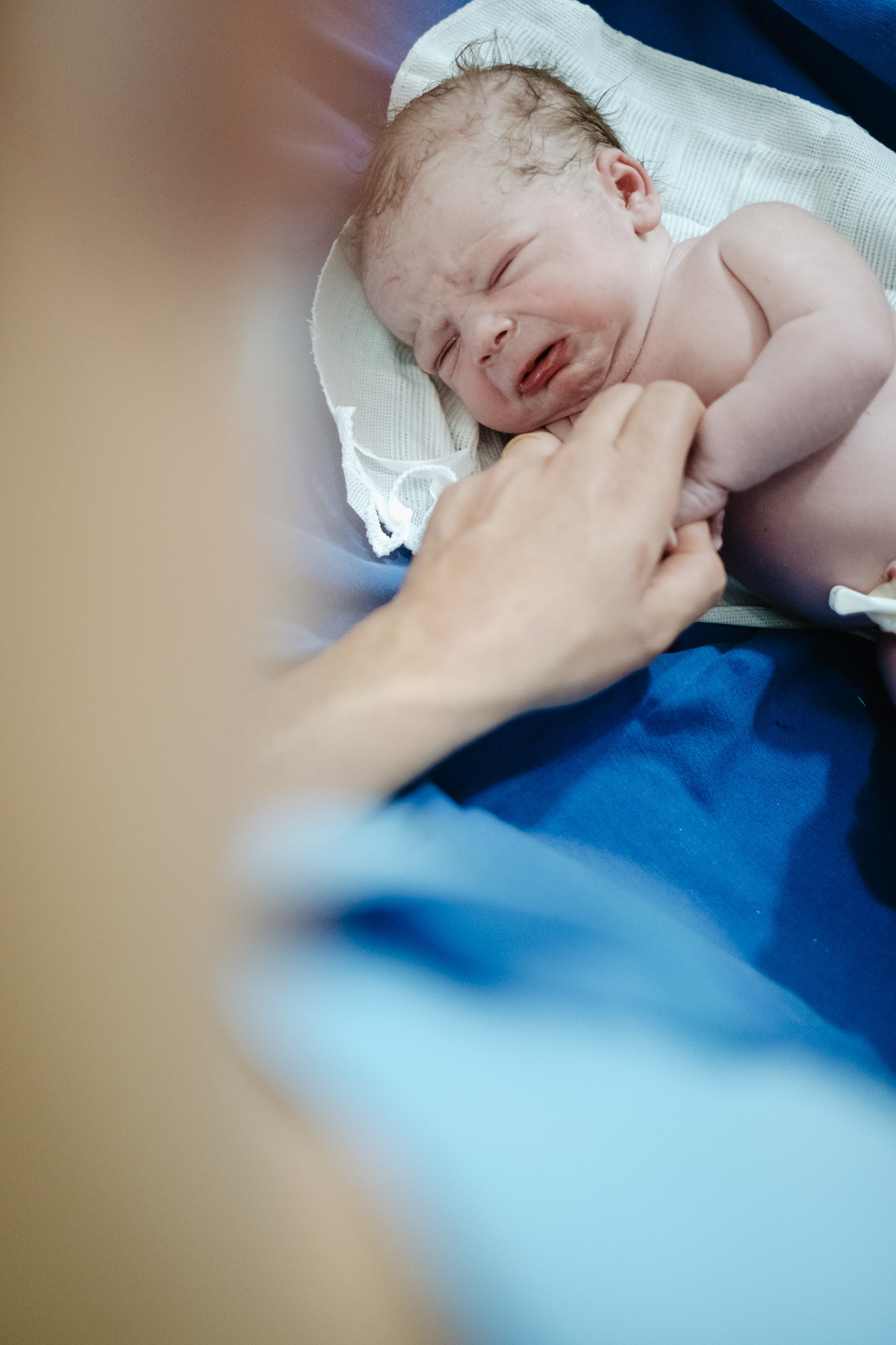 parto cesárea humanizado no ilha Hospital e maternidade por Thiago Braga Fotografia