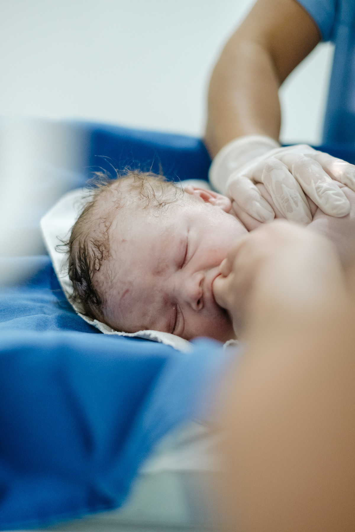 parto cesárea humanizado no ilha Hospital e maternidade por Thiago Braga Fotografia
