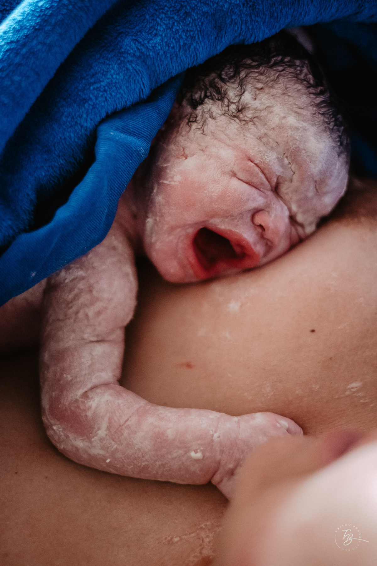 fotografia de parto normal na maternidade santa helena em florianópolis, fotos de parto por Thiago Braga fotografia