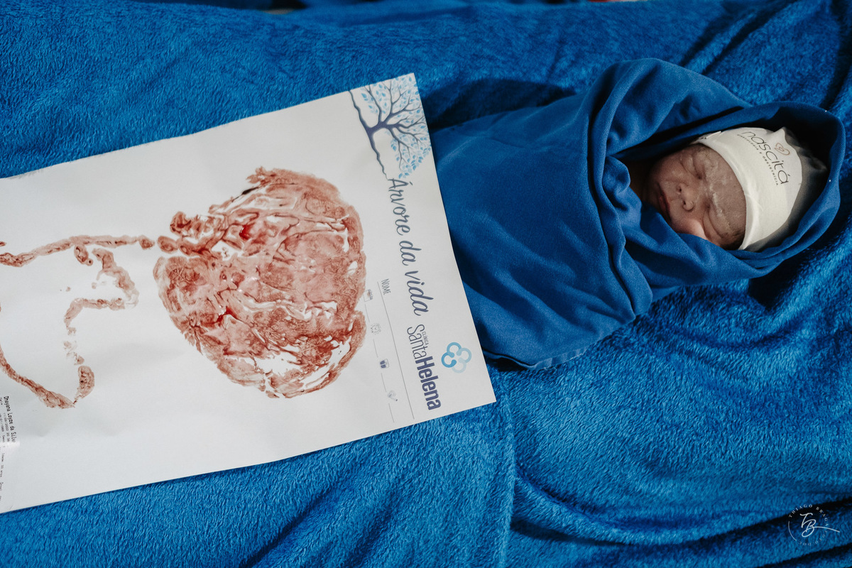 fotografia de parto normal na maternidade santa helena em florianópolis, fotos de parto por Thiago Braga fotografia