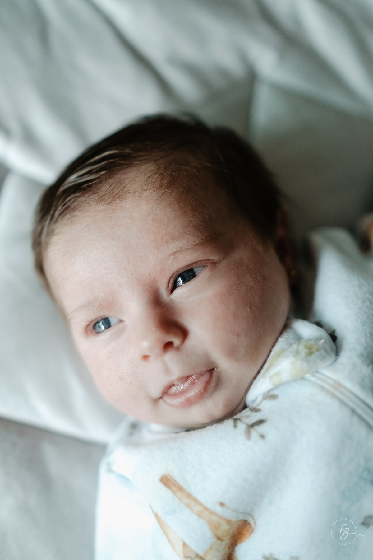 ensaio de bebê e família nos primeiros dias da Anna clara em casa, em Florianópolis, pot Thiago Braga