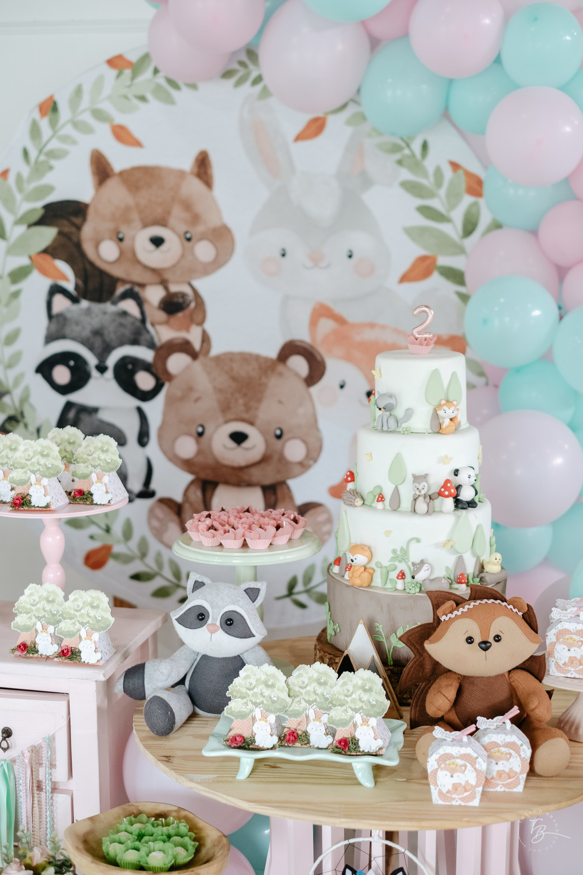 documental do dia de aniversário em Florianópolis, fotos de família por Thiago Braga