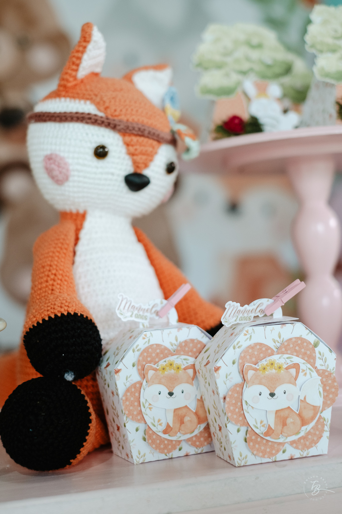 documental do dia de aniversário em Florianópolis, fotos de família por Thiago Braga