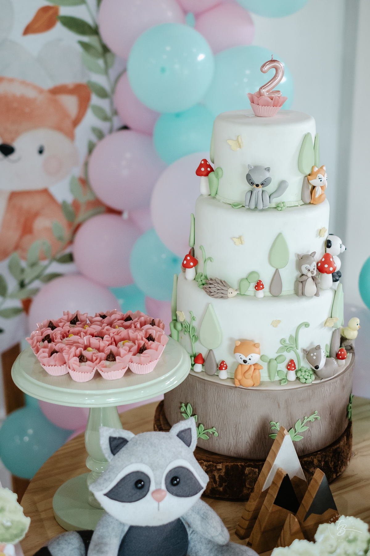 documental do dia de aniversário em Florianópolis, fotos de família por Thiago Braga