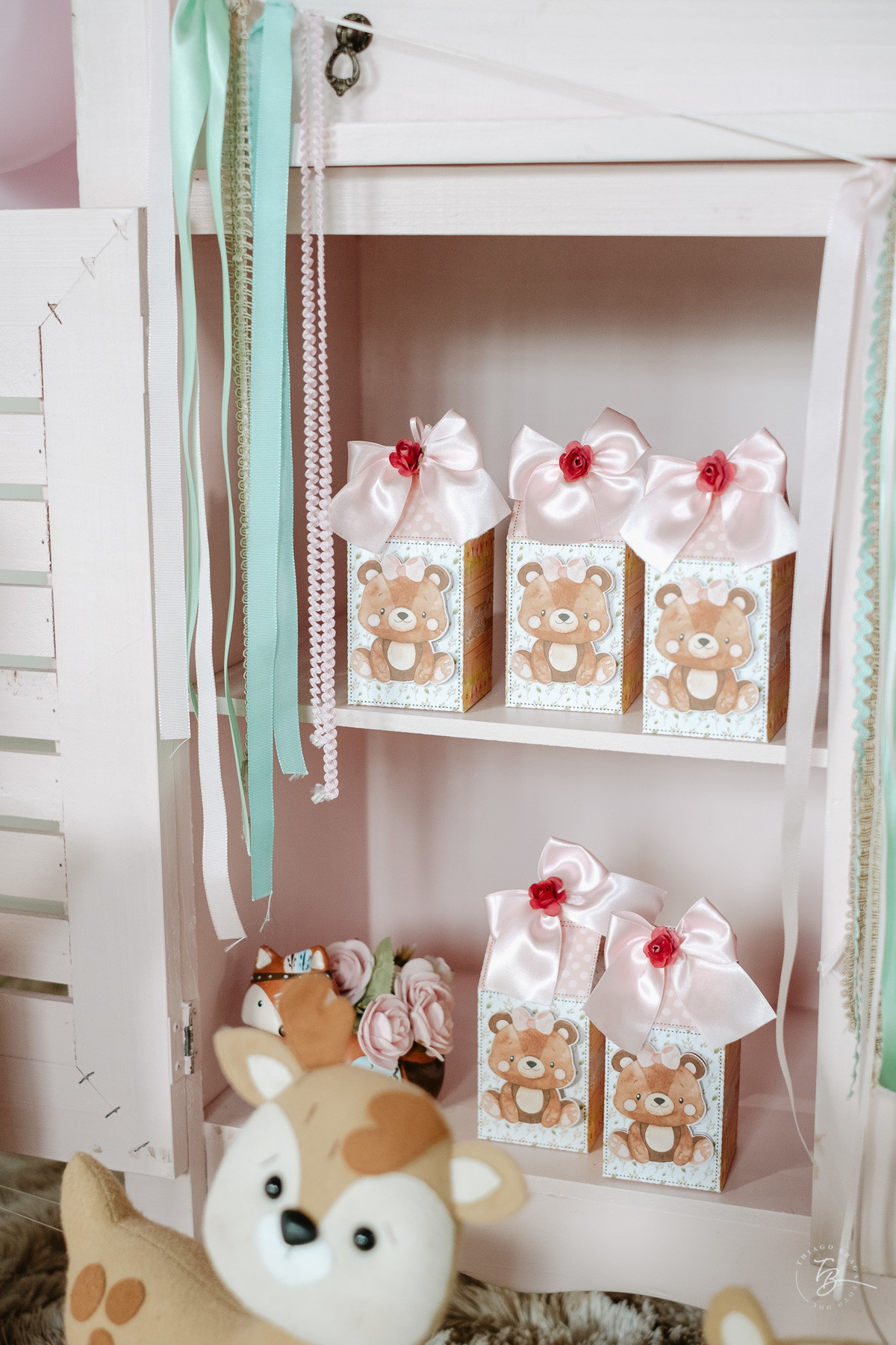 documental do dia de aniversário em Florianópolis, fotos de família por Thiago Braga