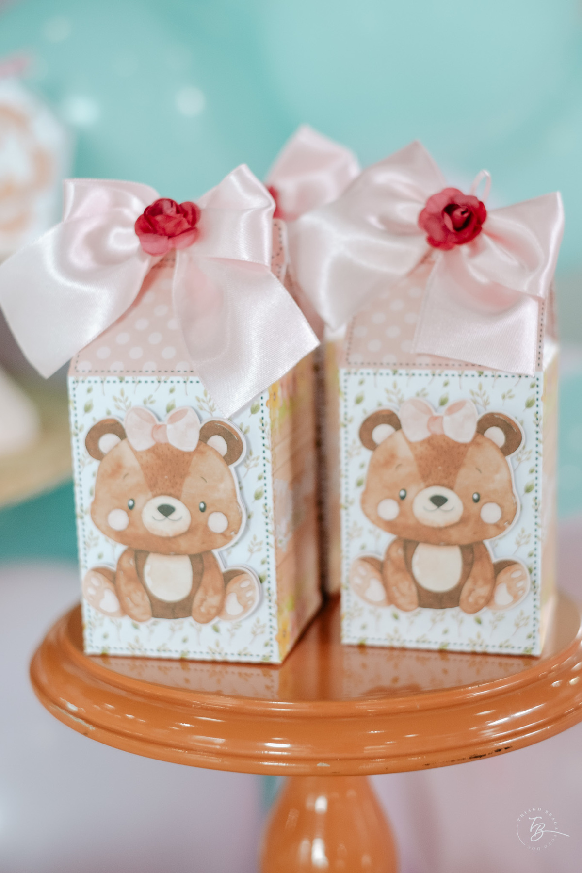 documental do dia de aniversário em Florianópolis, fotos de família por Thiago Braga