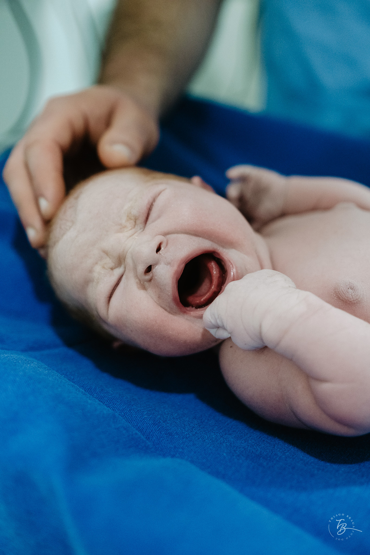cesárea humanizada na maternidade ilha em Florianópolis por Thiago Braga
