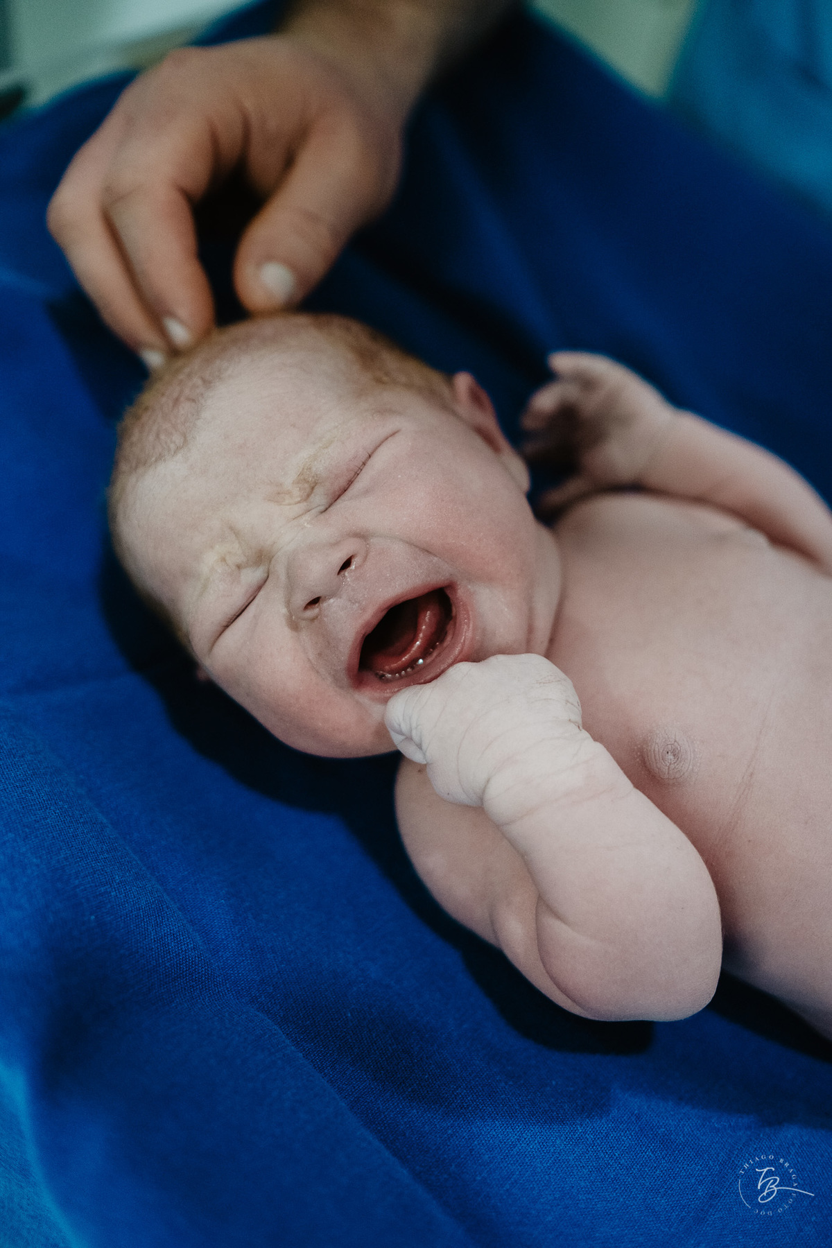 cesárea humanizada na maternidade ilha em Florianópolis por Thiago Braga