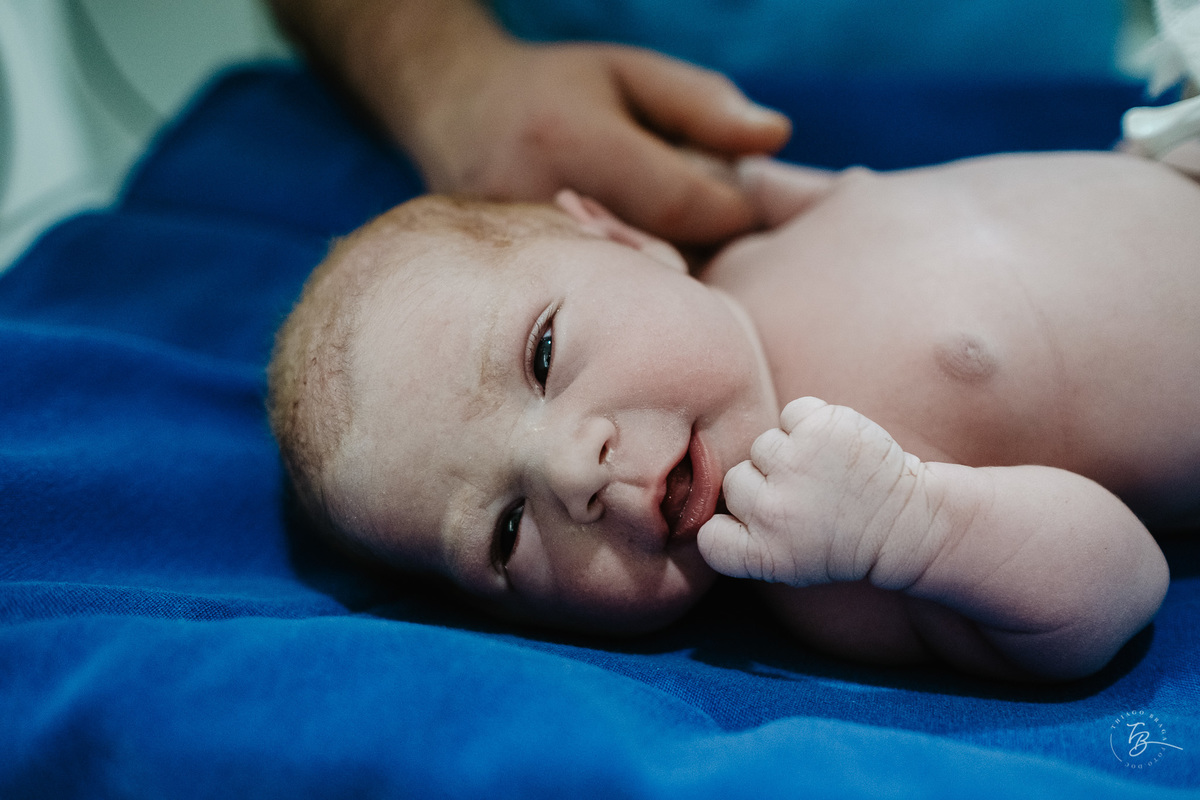 cesárea humanizada na maternidade ilha em Florianópolis por Thiago Braga