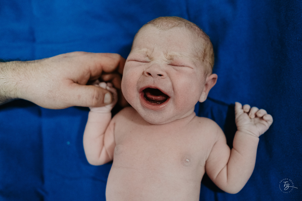 cesárea humanizada na maternidade ilha em Florianópolis por Thiago Braga