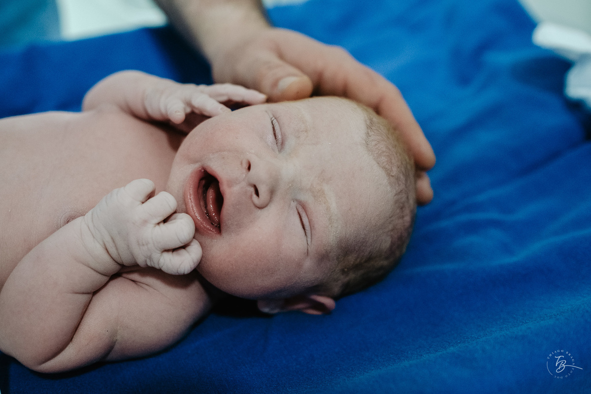 cesárea humanizada na maternidade ilha em Florianópolis por Thiago Braga