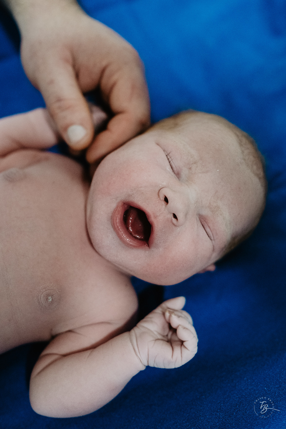 cesárea humanizada na maternidade ilha em Florianópolis por Thiago Braga
