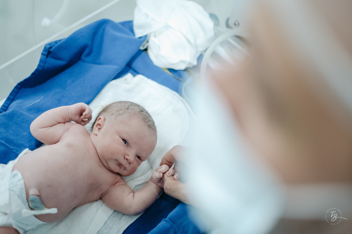 Cesárea humanizada, nascimento da Amália, Maternidade Ilha em Florianópolis por Thiago Braga fotografia de parto