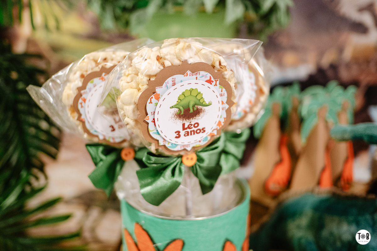 Fotografia de aniversario infantil em Florianópolis-SC. 