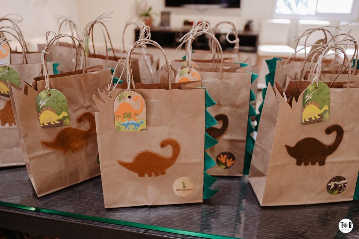 Fotografia de aniversario infantil em Florianópolis-SC. 