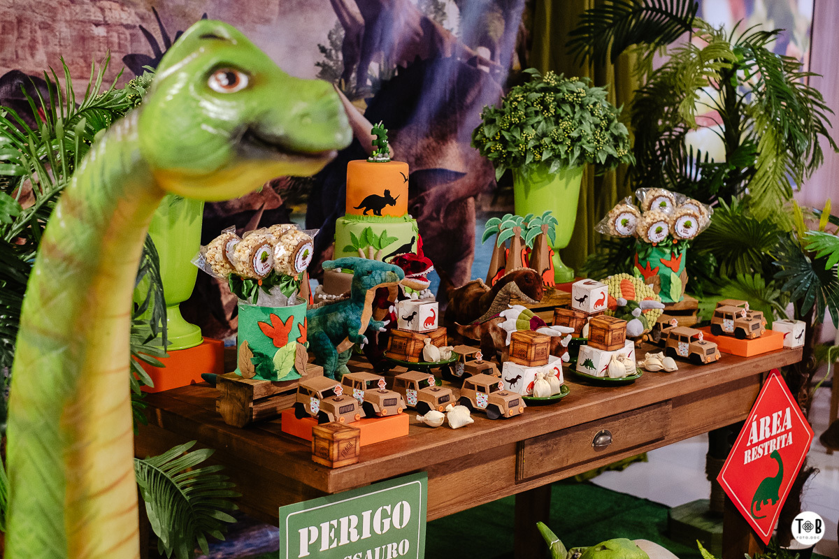 Fotografia de aniversario infantil em Florianópolis-SC. 