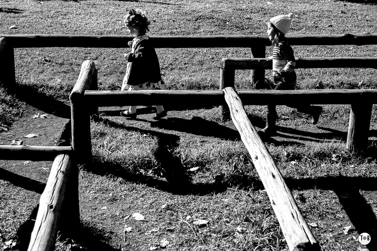 aniversario infantil ao ar livre florianopolis sc