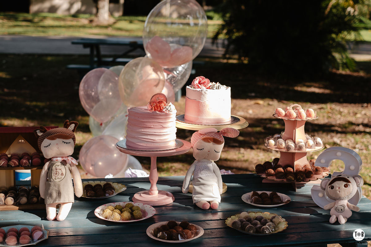 aniversario infantil ao ar livre florianopolis sc