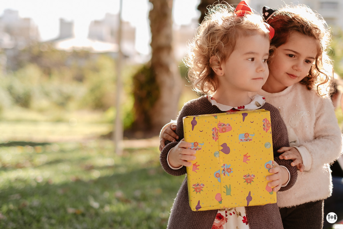 aniversario infantil ao ar livre florianopolis sc