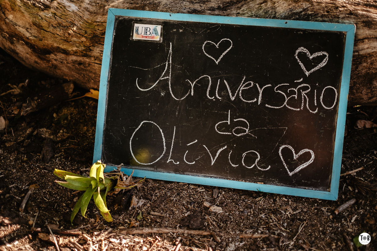 aniversario infantil ao ar livre florianopolis sc