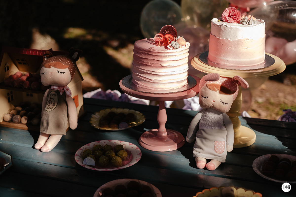 aniversario infantil ao ar livre florianopolis sc