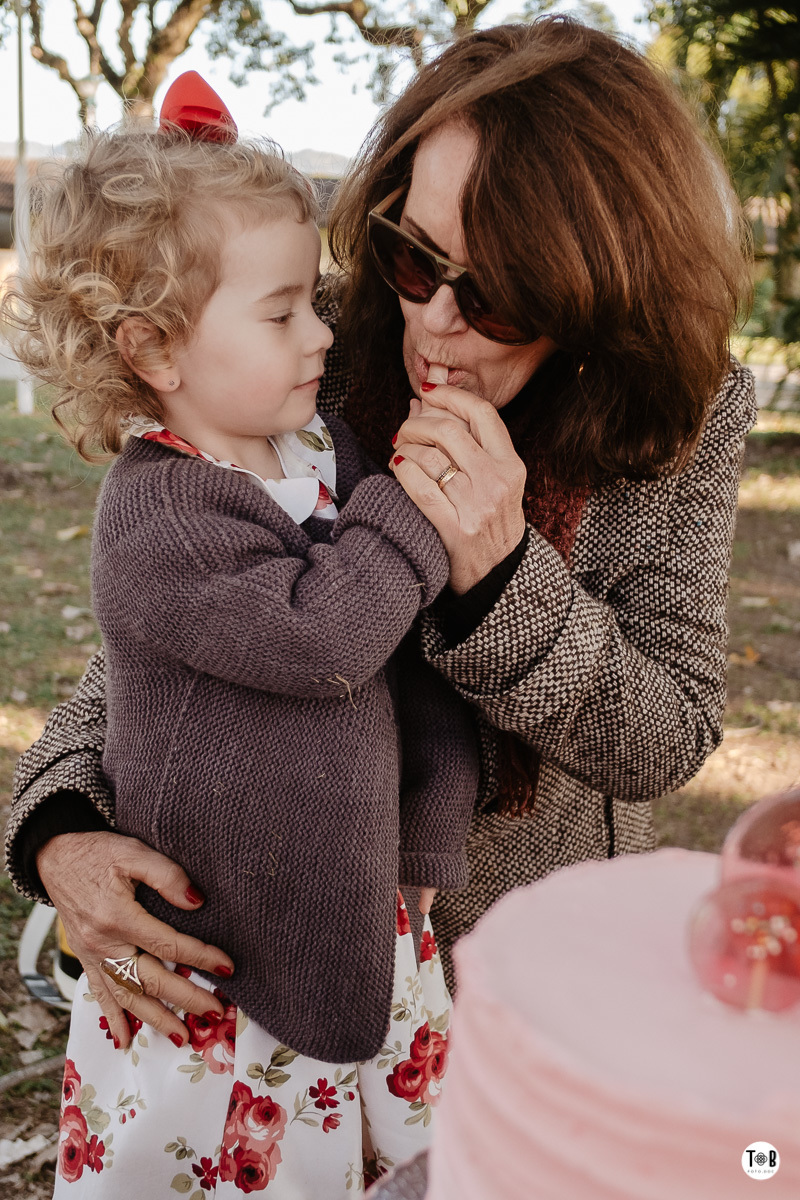 aniversario infantil ao ar livre florianopolis sc