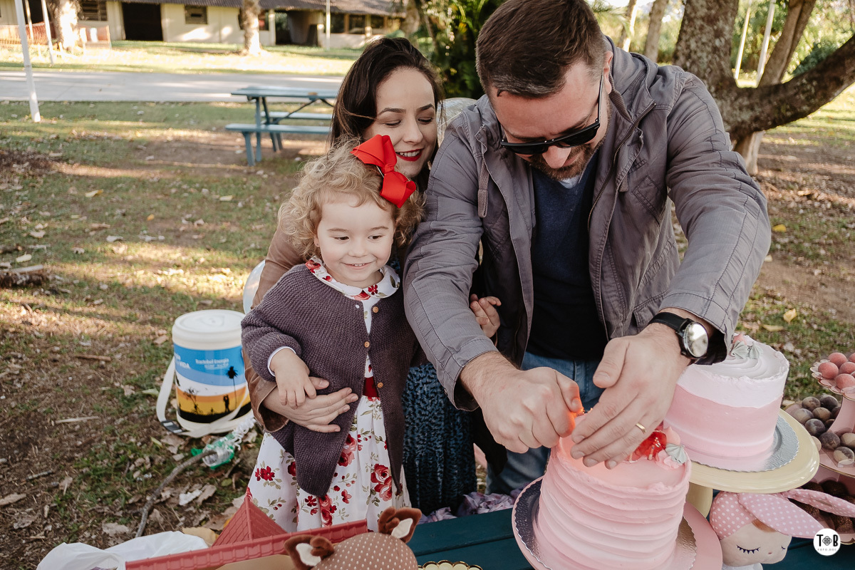 aniversario infantil ao ar livre florianopolis sc