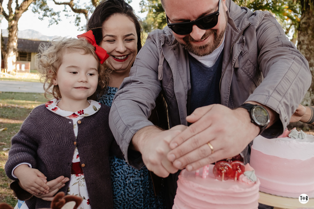 aniversario infantil ao ar livre florianopolis sc