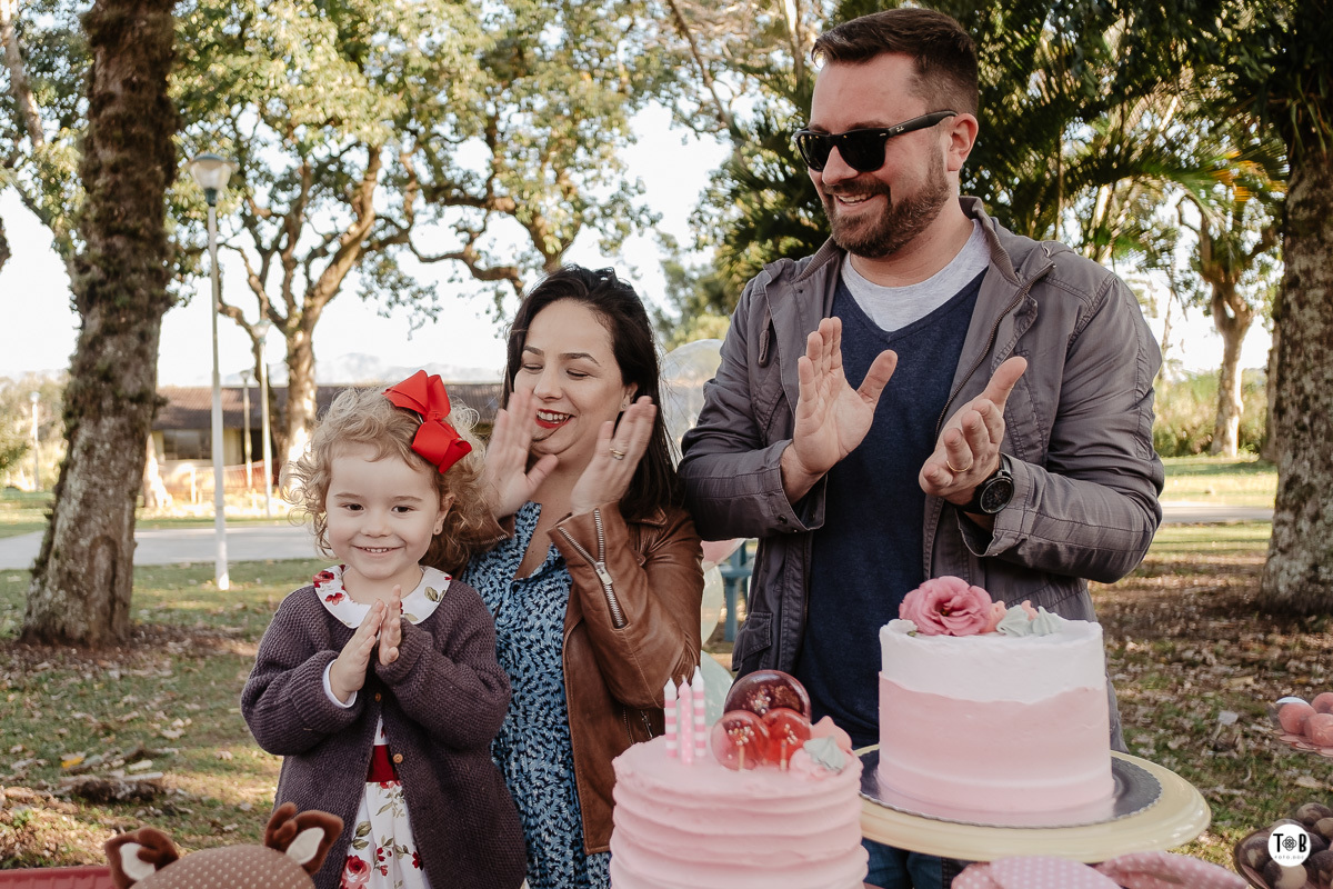 aniversario infantil ao ar livre florianopolis sc