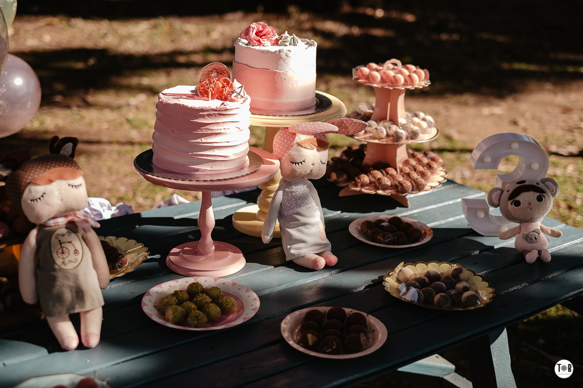 aniversario infantil ao ar livre florianopolis sc