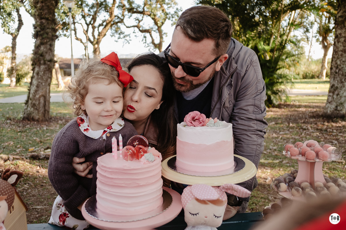 aniversario infantil ao ar livre florianopolis sc