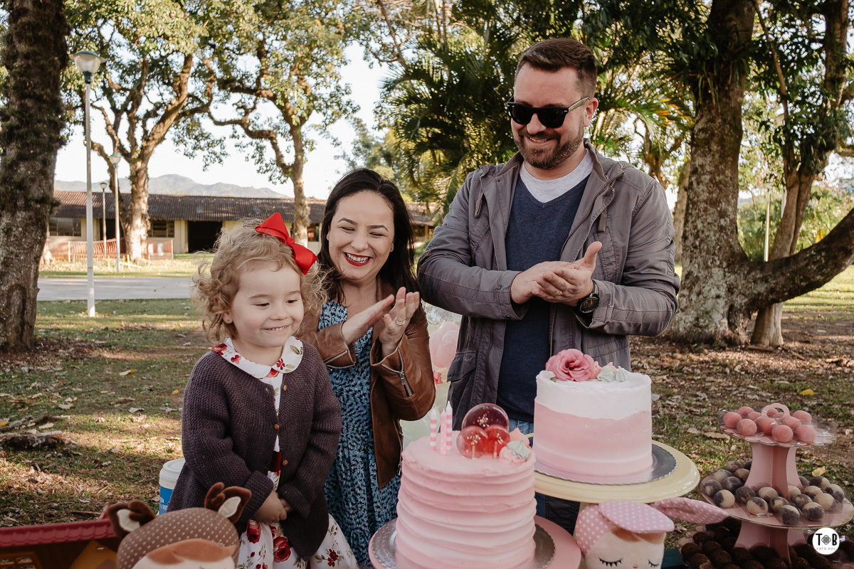 aniversario infantil ao ar livre florianopolis sc