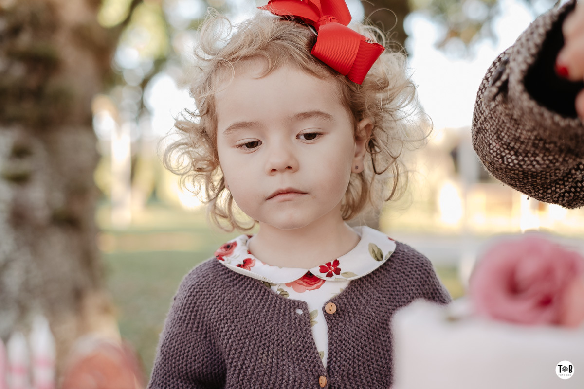 aniversario infantil ao ar livre florianopolis sc