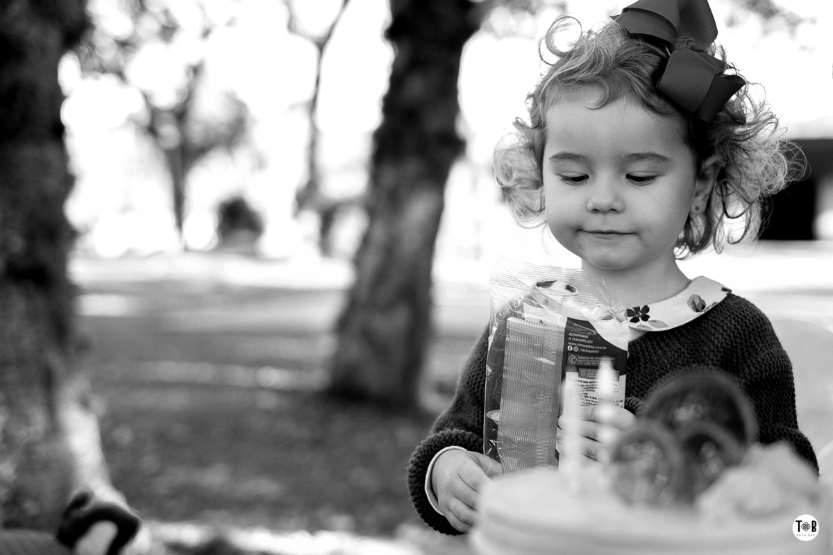 aniversario infantil ao ar livre florianopolis sc