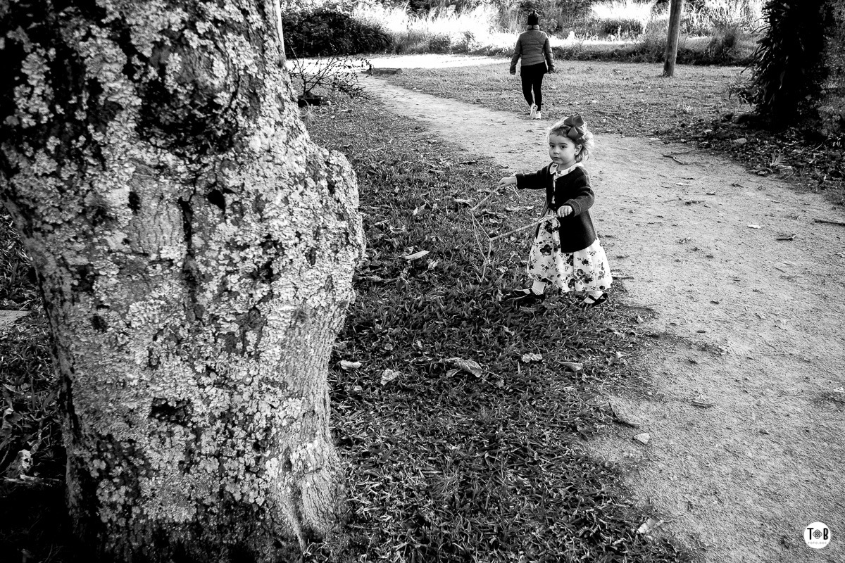 aniversario infantil ao ar livre florianopolis sc