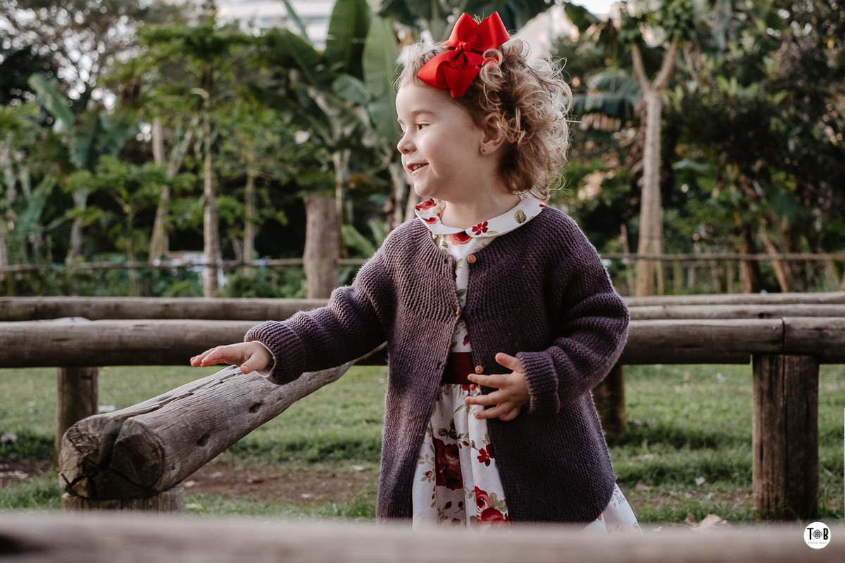 aniversario infantil ao ar livre florianopolis sc