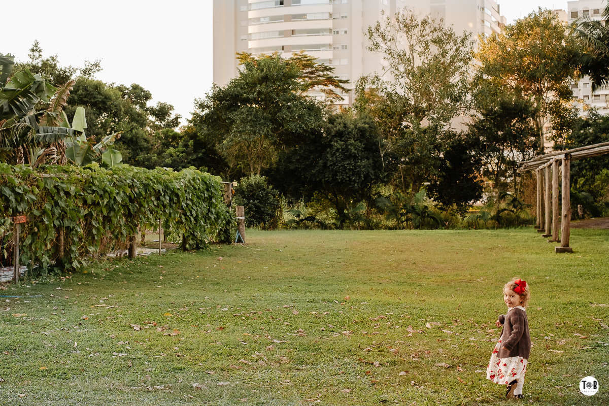 aniversario infantil ao ar livre florianopolis sc