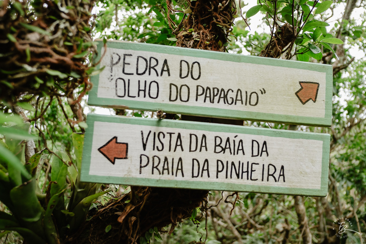 um sábado na ilha do papagaio. Fotografia de família. Thiago Braga Fotografia