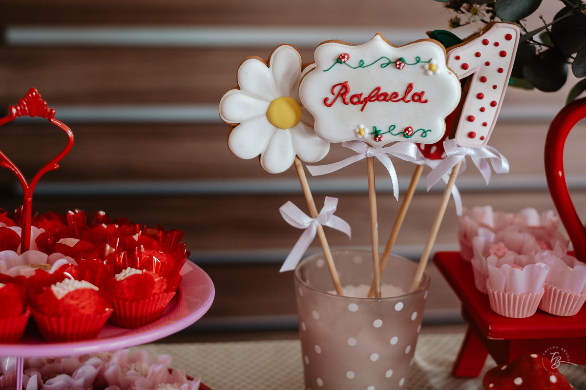 Fotografia documental de aniversário infantil, no rio Tavares/Campeche em Florianópolis/SC