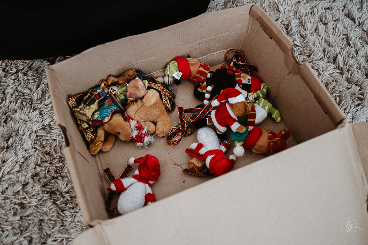 Caixa com enfeites de natal, para montagem da árvore. Ensaio documental de Natal, em casa, por Thiago Braga fotografia. 
