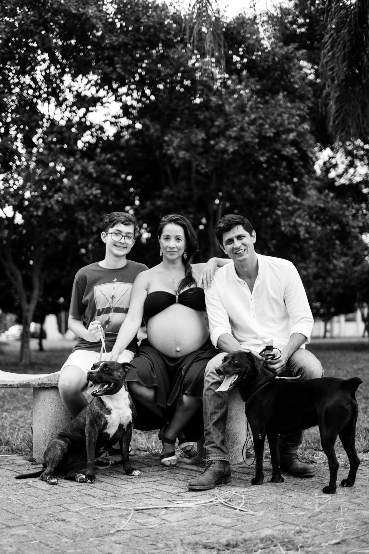 Com os cachorros no bairro. Sessão gestante na rótula do Córrego Grande em Florianópolis - SC por Thiago Braga fotografia