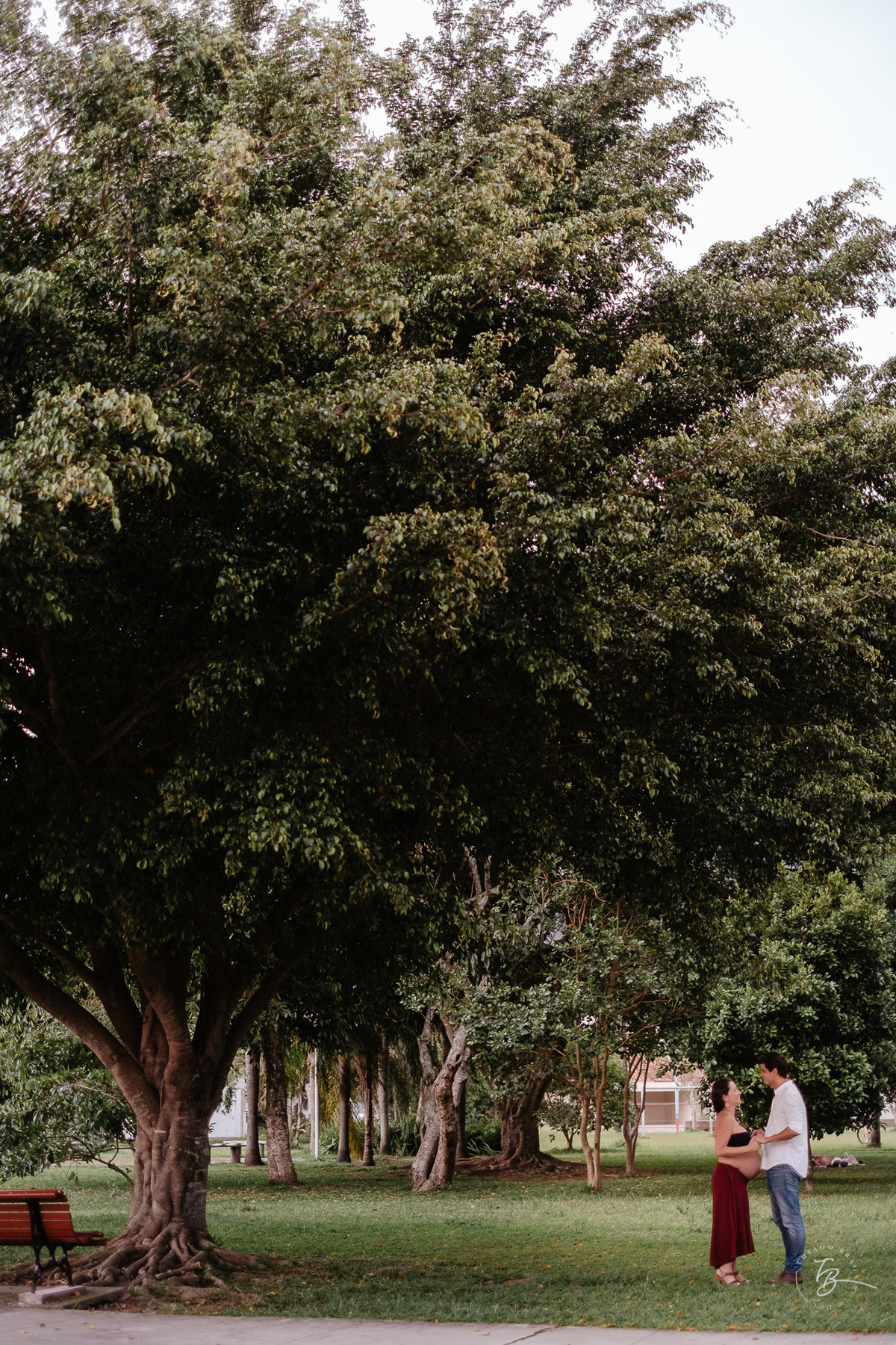No parque perto de casa. em árvore. Sessão gestante na rótula do Córrego Grande em Florianópolis - SC por Thiago Braga fotografia