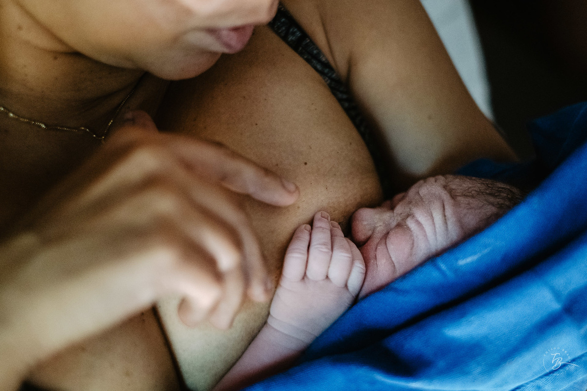Amamentação. Parto natural, nascimento do Nicolas por Thiago Braga fotografia. Maternidade Santa Helena em Florianópolis. Fotografia documental de parto. 
